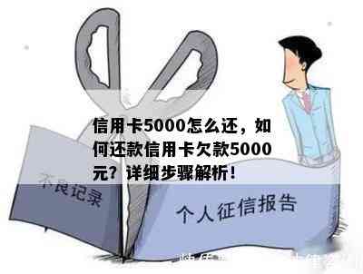 信用卡5000怎么还，如何还款信用卡欠款5000元？详细步骤解析！