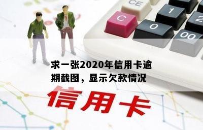 求一张2020年信用卡逾期截图，显示欠款情况