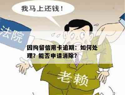 因拘留信用卡逾期：如何处理？能否申请消除？