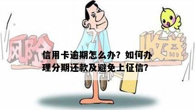 信用卡逾期怎么办？如何办理分期还款及避免上？