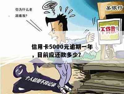 信用卡5000元逾期一年，目前应还款多少？