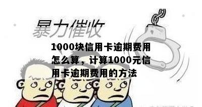 1000块信用卡逾期费用怎么算，计算1000元信用卡逾期费用的方法