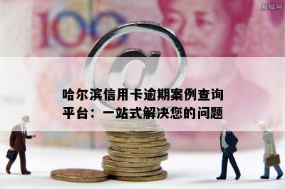 哈尔滨信用卡逾期案例查询平台：一站式解决您的问题