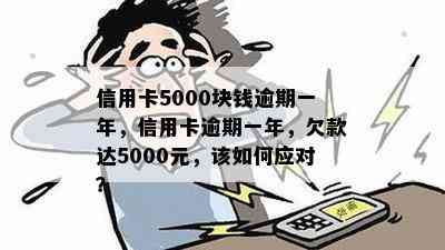 信用卡5000块钱逾期一年，信用卡逾期一年，欠款达5000元，该如何应对？