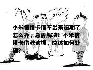 小米信用卡借不出来逾期了怎么办，急需解决！小米信用卡借款逾期，应该如何处理？