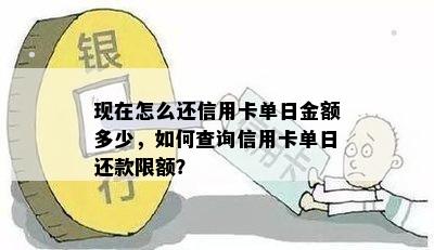 现在怎么还信用卡单日金额多少，如何查询信用卡单日还款限额？