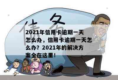 2021年信用卡逾期一天怎么办，信用卡逾期一天怎么办？2021年的解决方案全在这里！