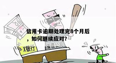 信用卡逾期处理完8个月后，如何继续应对？