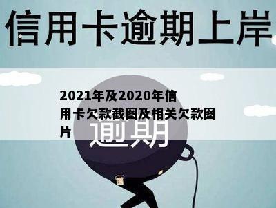 2021年及2020年信用卡欠款截图及相关欠款图片