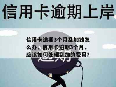 信用卡逾期3个月乱加钱怎么办，信用卡逾期3个月，应该如何处理乱加的费用？