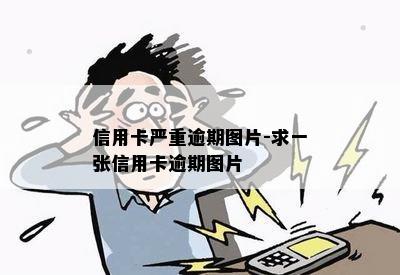 信用卡严重逾期图片-求一张信用卡逾期图片