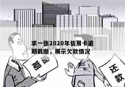 求一张2020年信用卡逾期截图，展示欠款情况