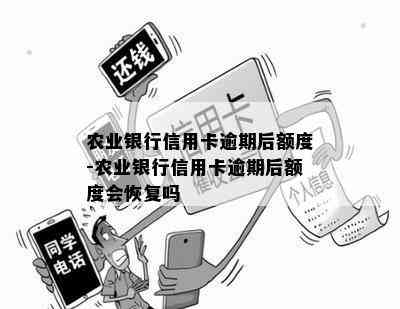 农业银行信用卡逾期后额度-农业银行信用卡逾期后额度会恢复吗