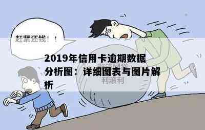 2019年信用卡逾期数据分析图：详细图表与图片解析