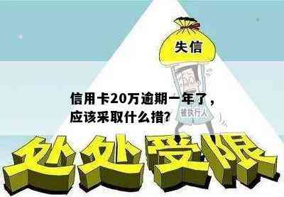 信用卡20万逾期一年了，应该采取什么措？