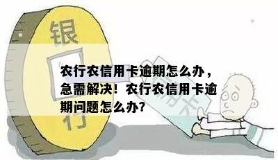 农行农信用卡逾期怎么办，急需解决！农行农信用卡逾期问题怎么办？