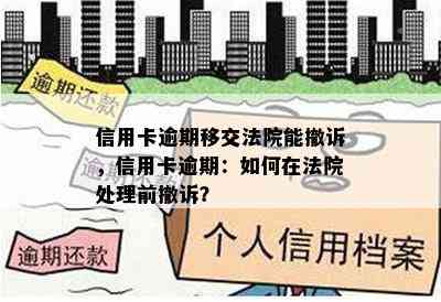 信用卡逾期移交法院能撤诉，信用卡逾期：如何在法院处理前撤诉？