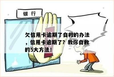 欠信用卡逾期了自救的办法，信用卡逾期了？教你自救的5大方法！