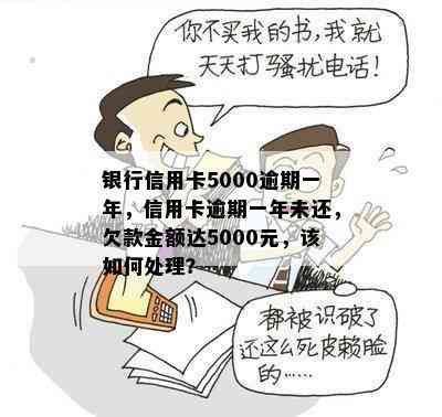 银行信用卡5000逾期一年，信用卡逾期一年未还，欠款金额达5000元，该如何处理？