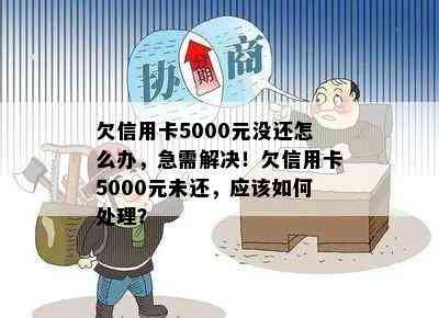 欠信用卡5000元没还怎么办，急需解决！欠信用卡5000元未还，应该如何处理？