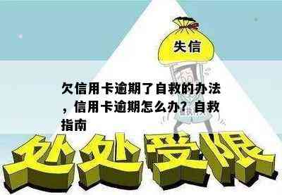 欠信用卡逾期了自救的办法，信用卡逾期怎么办？自救指南