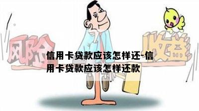 信用卡贷款应该怎样还-信用卡贷款应该怎样还款