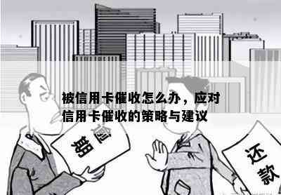 被信用卡怎么办，应对信用卡的策略与建议