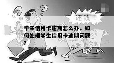 学生信用卡逾期怎么办，如何处理学生信用卡逾期问题？