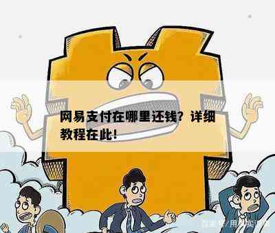 网易支付在哪里还钱？详细教程在此！