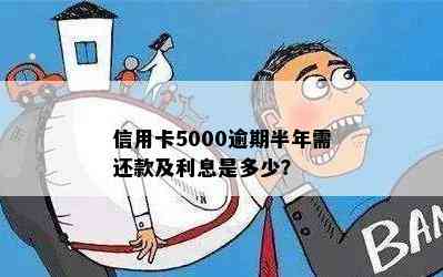 信用卡5000逾期半年需还款及利息是多少？