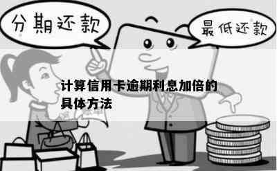 计算信用卡逾期利息加倍的具体方法