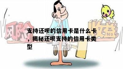 支持还呗的信用卡是什么卡，揭秘还呗支持的信用卡类型