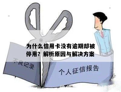 为什么信用卡没有逾期却被停用？解析原因与解决方案