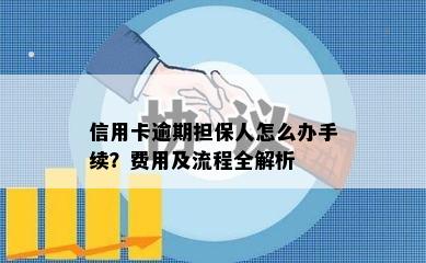 信用卡逾期担保人怎么办手续？费用及流程全解析