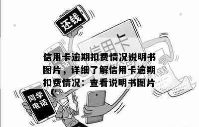 信用卡逾期扣费情况说明书图片，详细了解信用卡逾期扣费情况：查看说明书图片