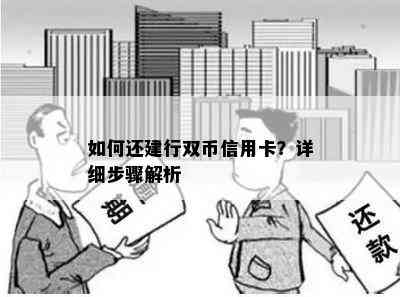 如何还建行双币信用卡？详细步骤解析