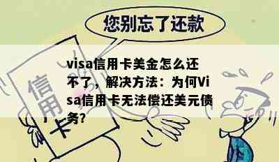 visa信用卡美金怎么还不了，解决方法：为何Visa信用卡无法偿还美元债务？