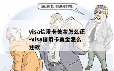 visa信用卡美金怎么还-visa信用卡美金怎么还款