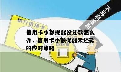 信用卡小额提醒没还款怎么办，信用卡小额提醒未还款的应对策略