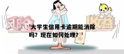 '大学生信用卡逾期能消除吗？现在如何处理？'