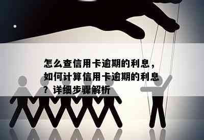 怎么查信用卡逾期的利息，如何计算信用卡逾期的利息？详细步骤解析