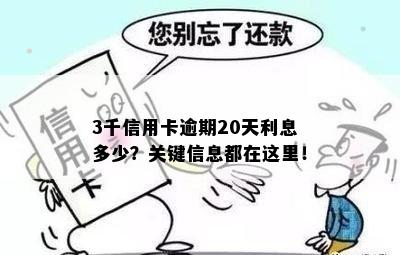 3千信用卡逾期20天利息多少？关键信息都在这里！