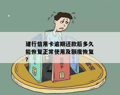 建行信用卡逾期还款后多久能恢复正常使用及额度恢复？