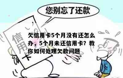 欠信用卡5个月没有还怎么办，5个月未还信用卡？教你如何处理欠款问题