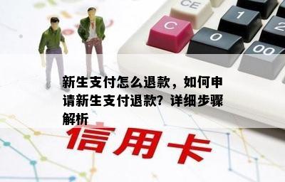 新生支付怎么退款，如何申请新生支付退款？详细步骤解析