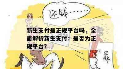 新生支付是正规平台吗，全面解析新生支付：是否为正规平台？