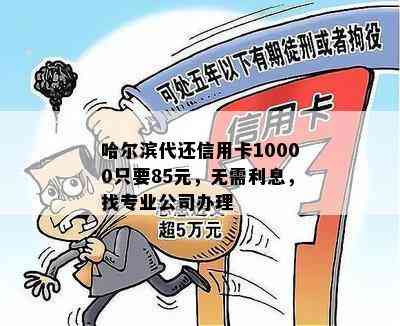 哈尔滨代还信用卡10000只要85元，无需利息，找专业公司办理