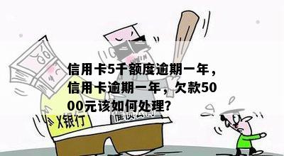 信用卡5千额度逾期一年，信用卡逾期一年，欠款5000元该如何处理？