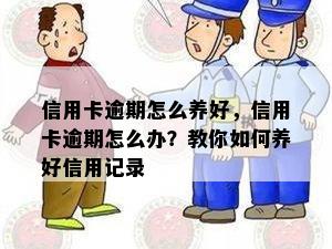 信用卡逾期怎么养好，信用卡逾期怎么办？教你如何养好信用记录