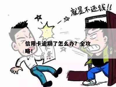 信用卡逾期了怎么办？全攻略！